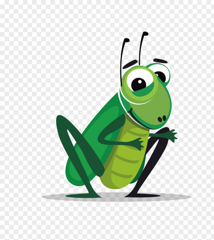 Vector Material Grasshopper Insect Cricket Cartoon Clip Art PNG