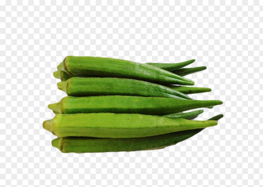 Vegetable Green Bean Okra Vegetarian Cuisine Gourd PNG