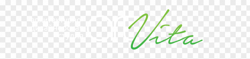 Vita Logo Leaf Desktop Wallpaper Grasses Font PNG