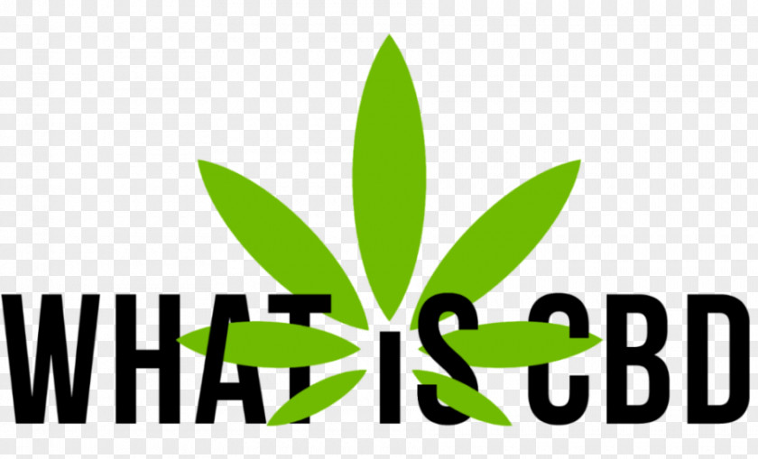 Cannabis Use Disorder Logo Brand Font Leaf Product PNG