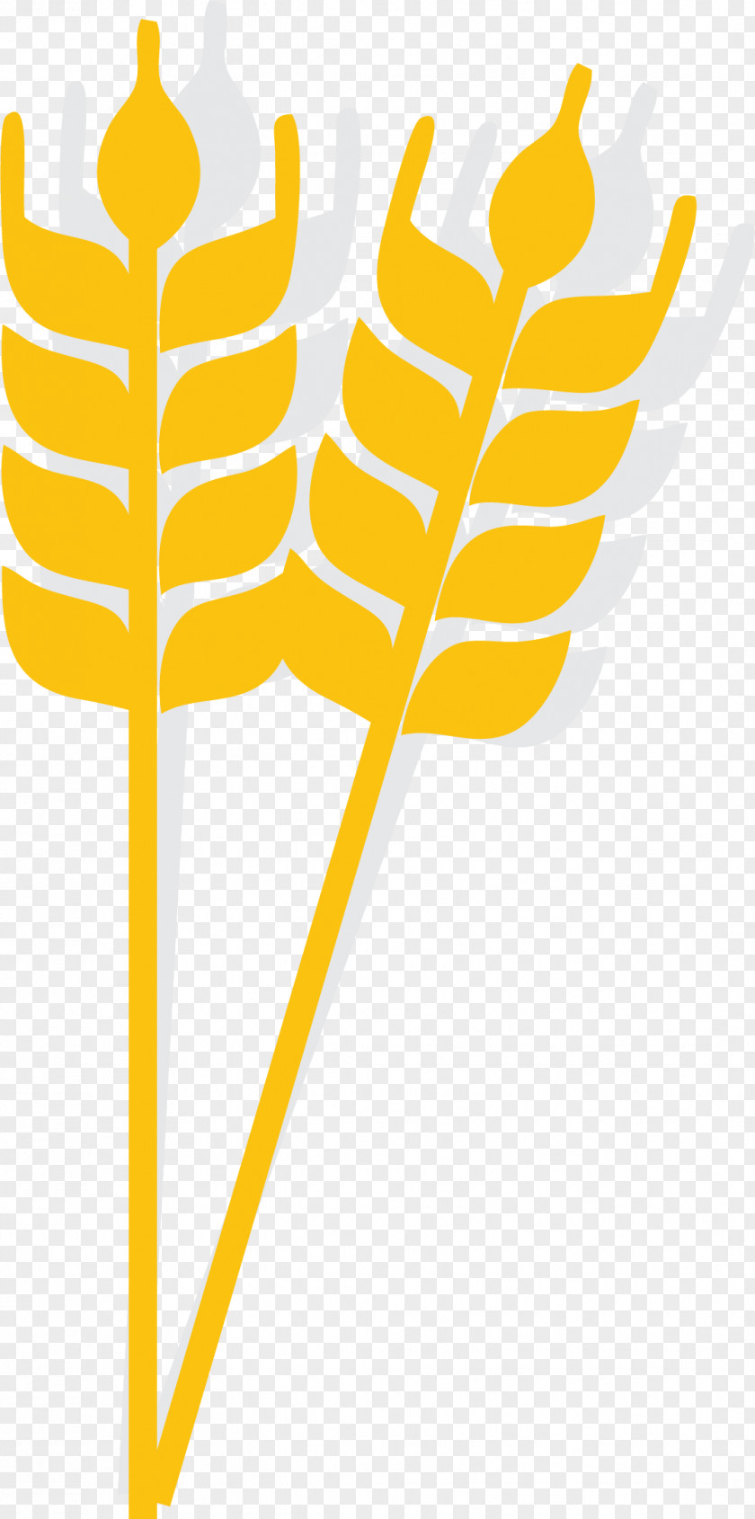 Gold Cartoon Rice Spike Icon Wheat PNG
