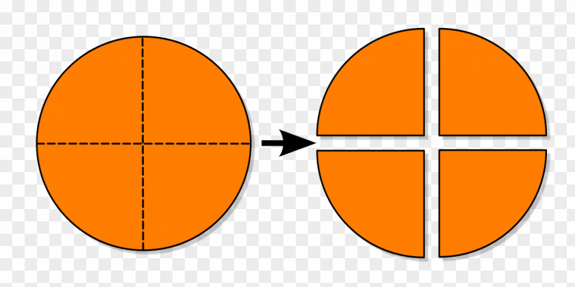 Pie Diagram Circle Pound Cake Fraction One Half Clip Art PNG