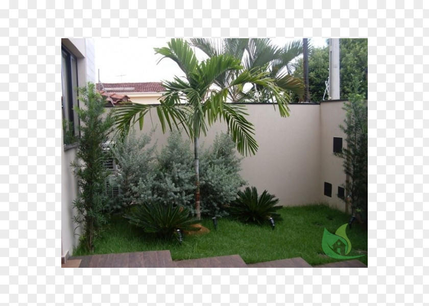 Pousada Das Canoas Arecaceae Backyard Property Grasses Shrub PNG