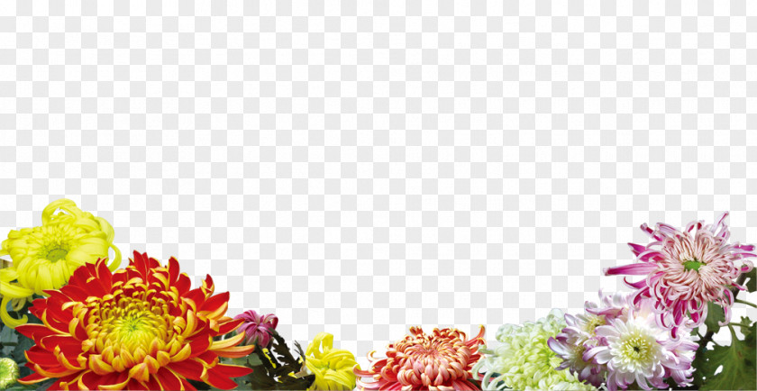 Color Flowers Flower Poster PNG