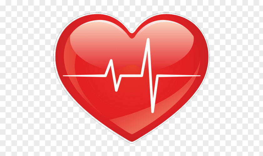 Electrocardiography Heart Rate PNG