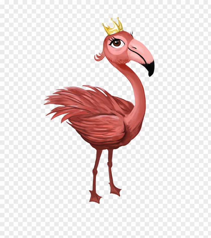 Flamingo Water Bird Chicken A Little Boy With Big Imagination PNG