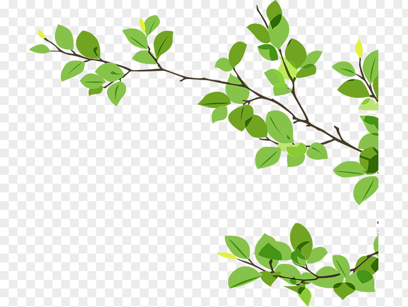 Green Leaves Branch Twig Clip Art PNG