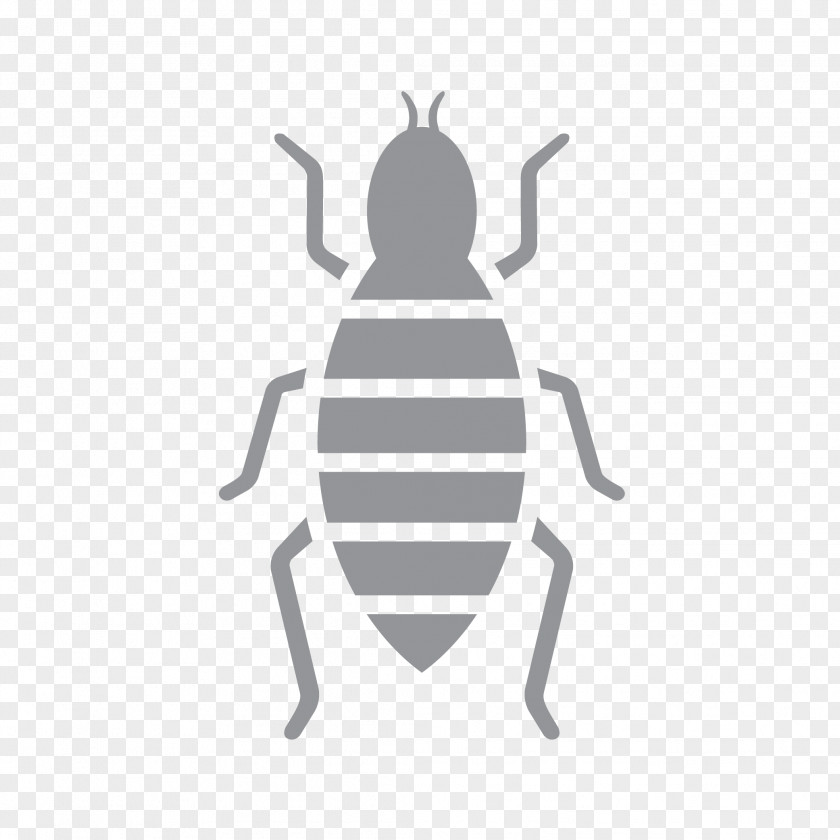 Insect Logo Font Product Pattern PNG