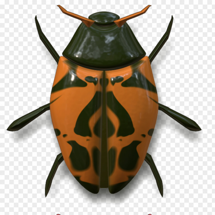 Insects Insect Volkswagen Beetle Animal PNG