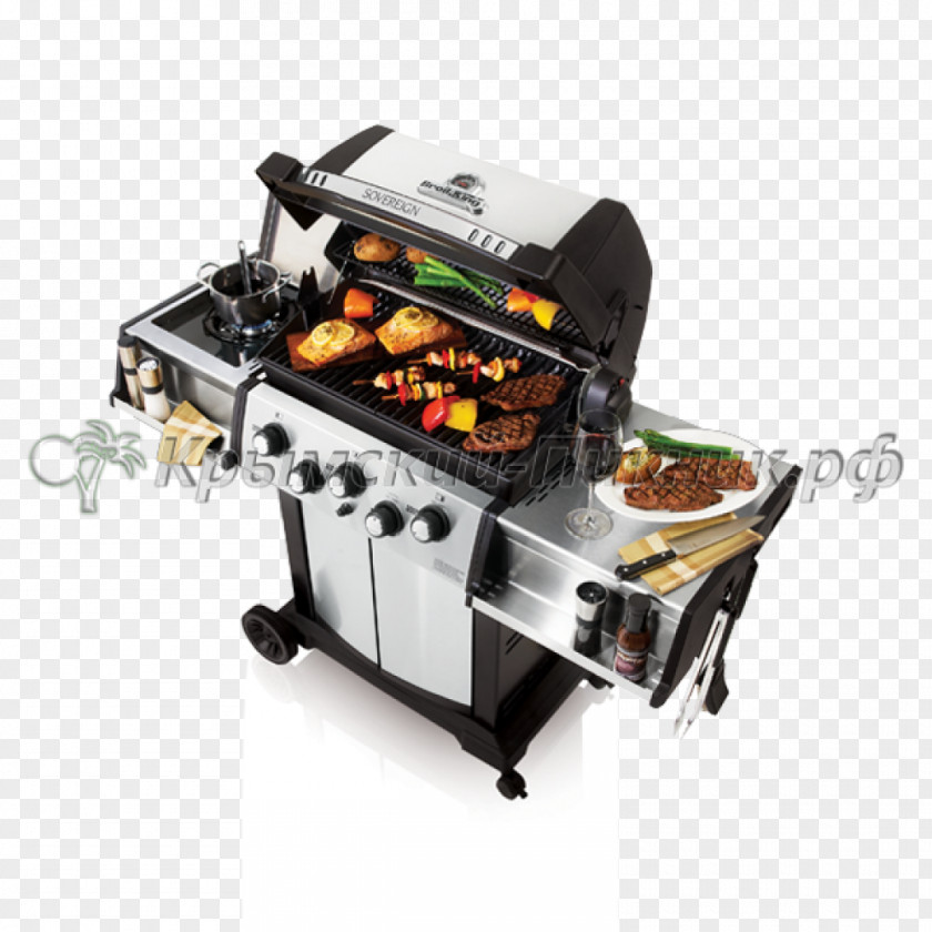 Outdoor Grill Barbecue Grilling Rotisserie Cooking Propane PNG