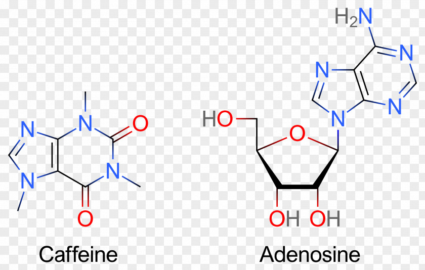 Parkinson Adenosine Receptor Antagonist Caffeine Triphosphate PNG