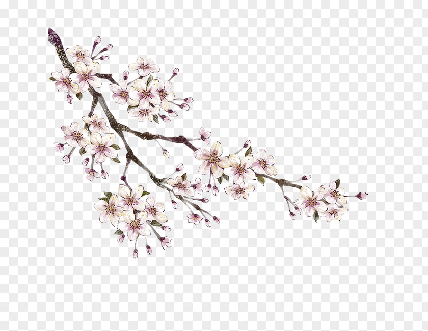 Peach Branches Download PNG