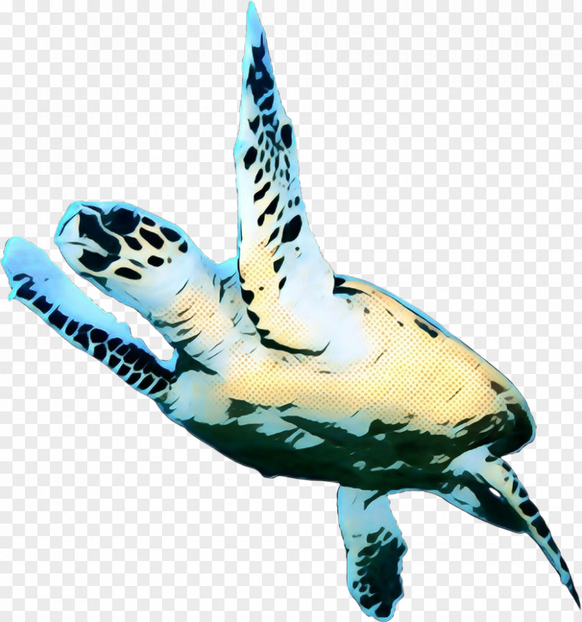 Reptile Kemps Ridley Sea Turtle Pop Art Retro Vintage PNG