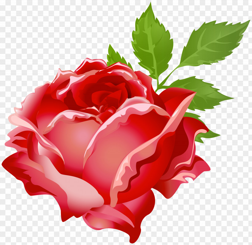 Rose Red Clip Art Image Purple Tom Baxter PNG