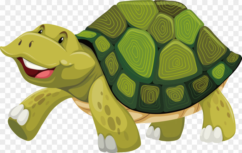 Turtle Vector Shell Stock Photography Illustration PNG