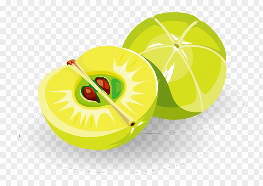 Vector Peach Apple PNG