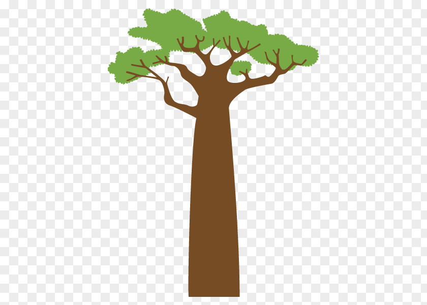 Baobab Illustration Plants Image Tree PNG