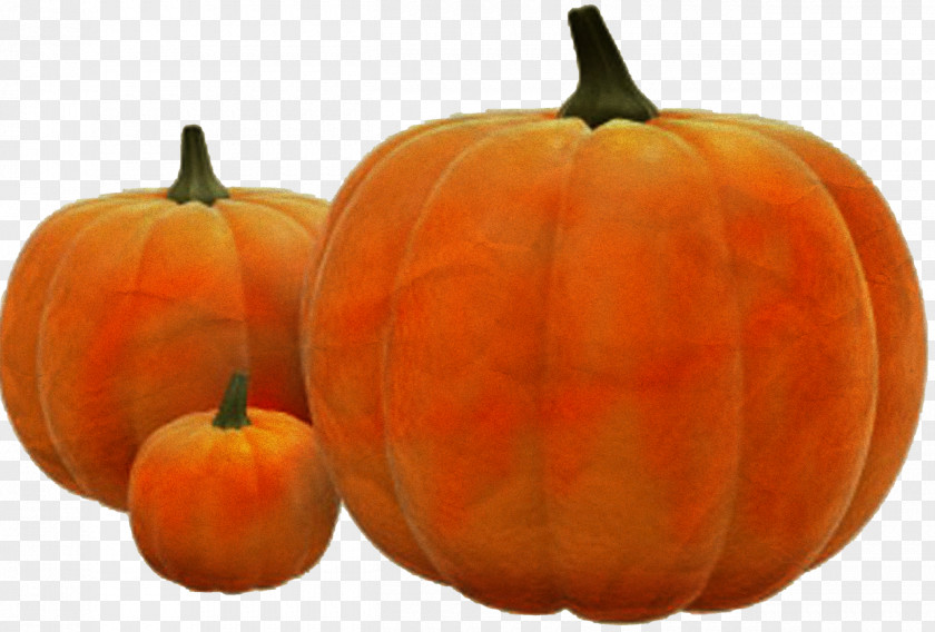 Black Beans Pumpkins & Squashes Pumpkin Pie Vegetable Fruit PNG