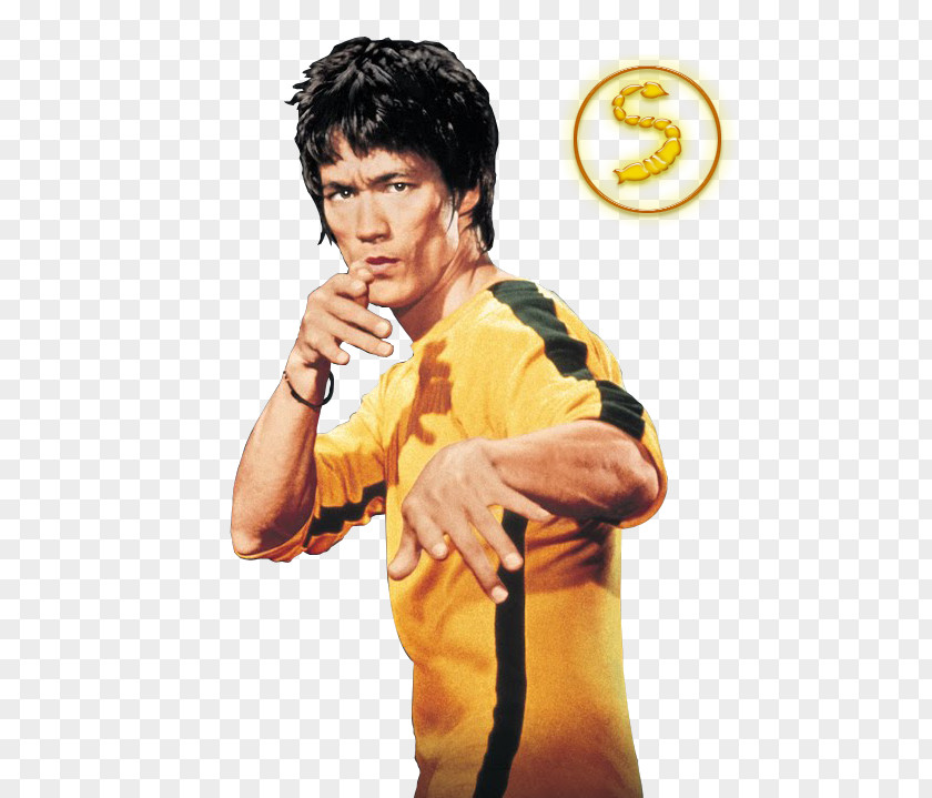 Bruce Lee The Image Of T-shirt Film PNG
