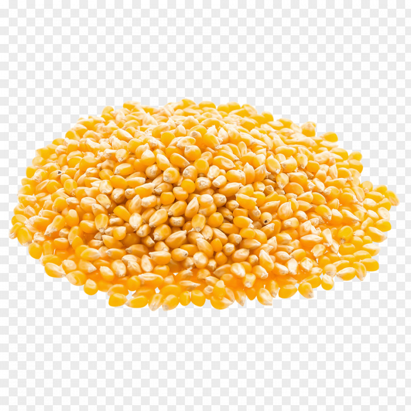 Corn Popcorn Organic Food Maize Cereal PNG