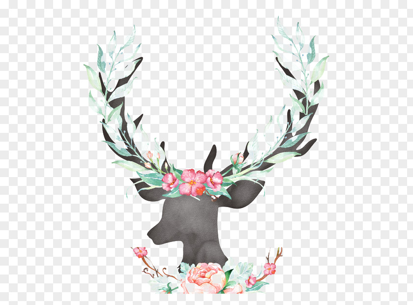 Deer Reindeer Antler Horn PNG