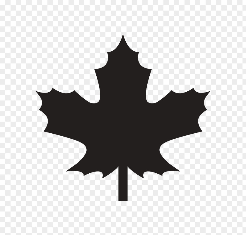Leaf Maple Canada Clip Art PNG