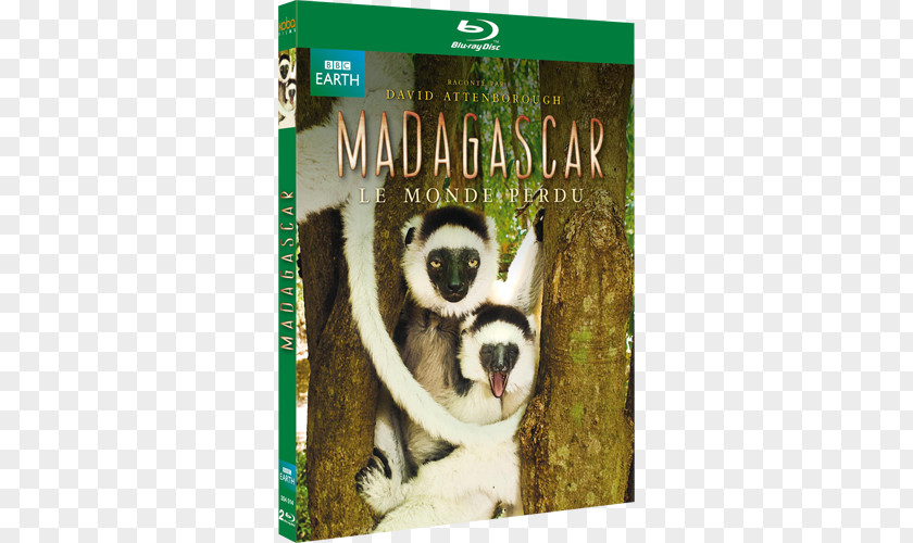 Oublie Larry Blu-ray Disc Madagascar DVD Compact Film PNG