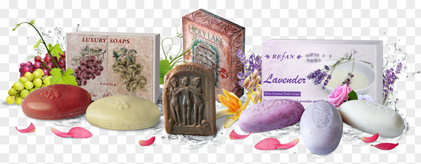 Soap Lotion Cosmetics Essential Oil Refan Bulgaria Ltd. PNG