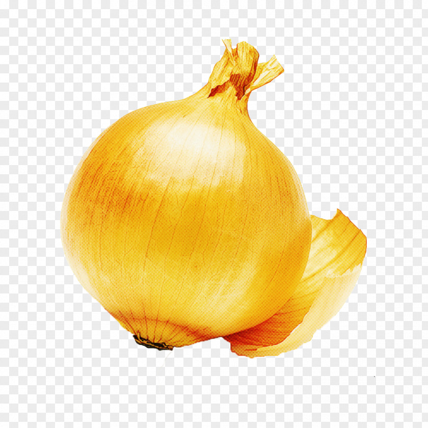 Yellow Onion Still Life Photography PNG