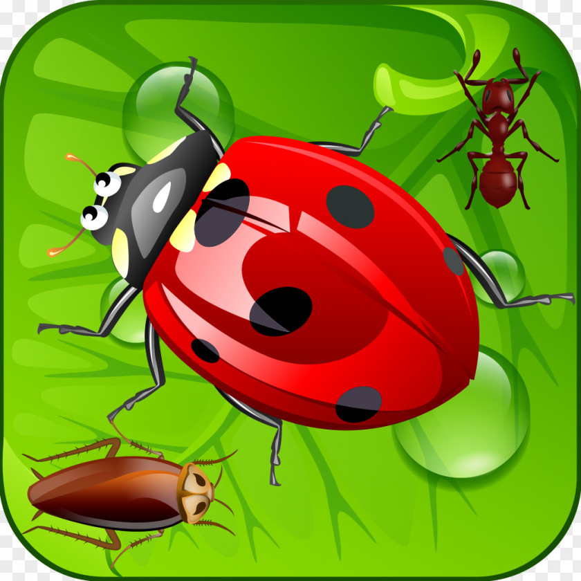 Ant IPod Touch App Store Beetle ITunes PNG