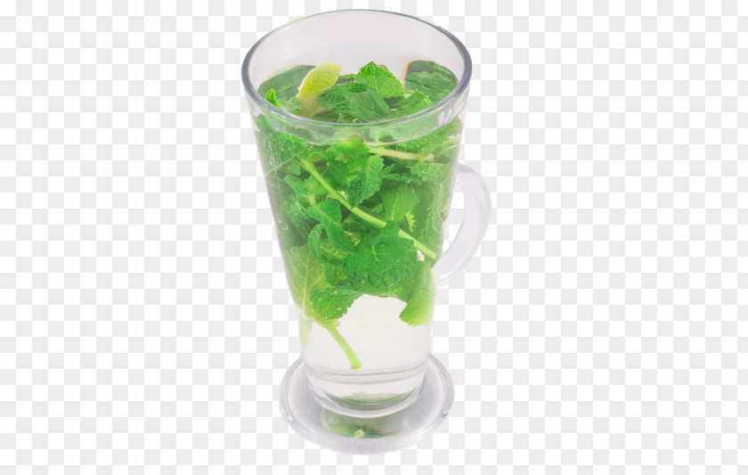 Chanh Leo Health Shake Mojito PNG