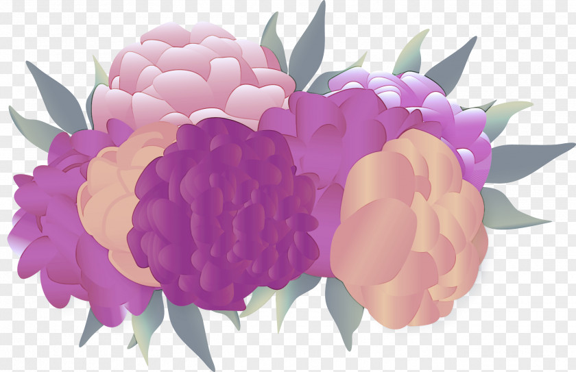 Cut Flowers Flowering Plant Flower Pink Petal Violet Purple PNG