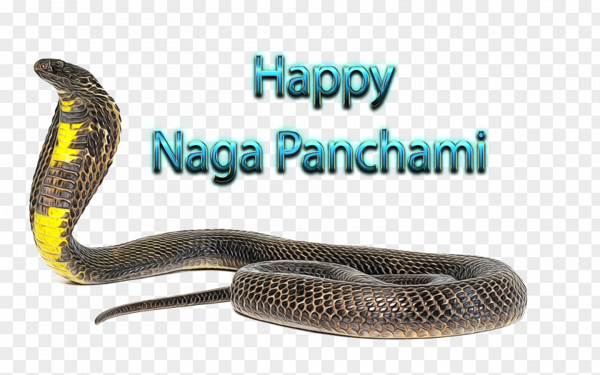 Mambas Kingsnakes Rattlesnake Product PNG