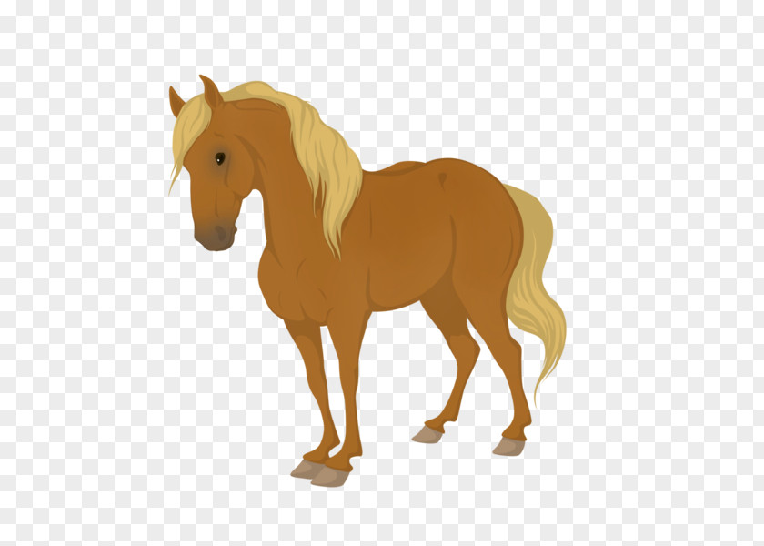 Mustang Mane Equine Coat Color Foal Pony PNG