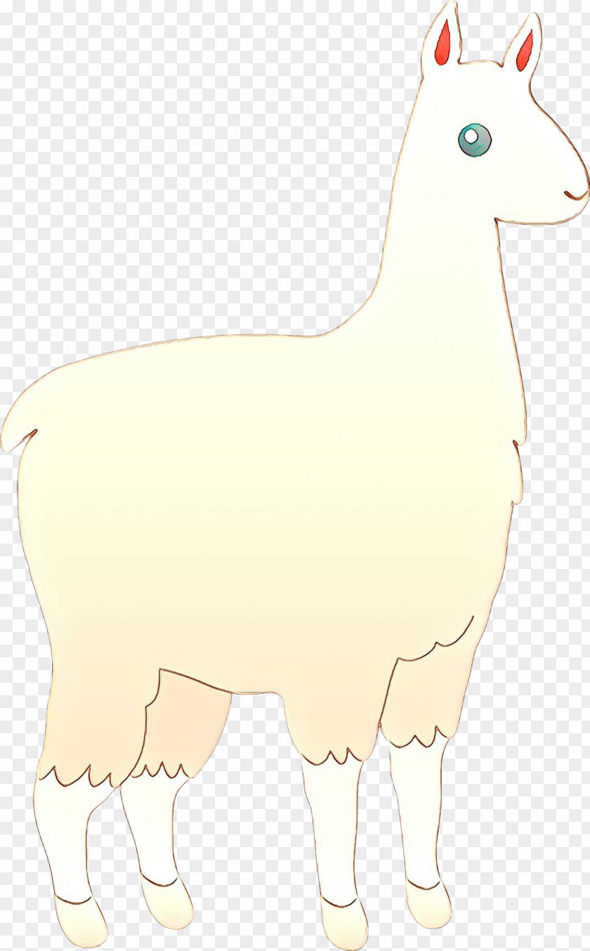 Sheep Llama Horse Cattle Mammal PNG