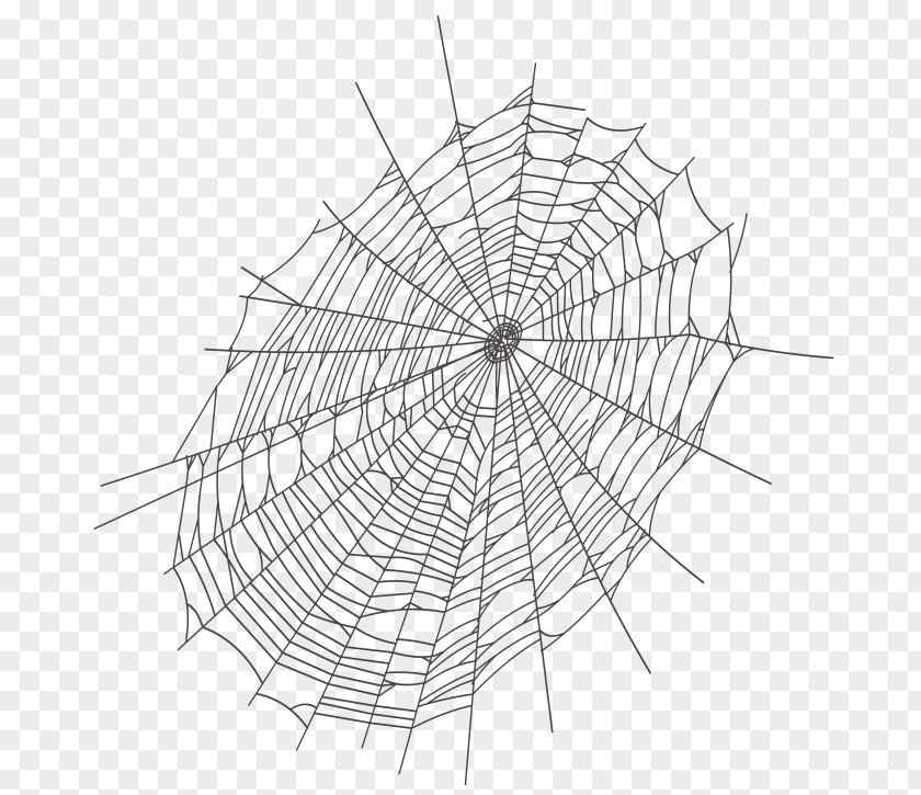 Spider Web Art Image Clip Spider-Man PNG