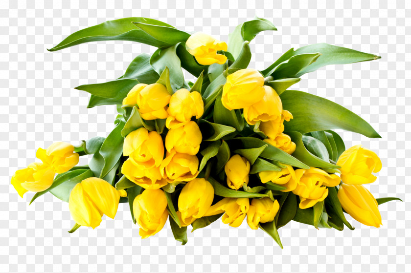 Yellow Background Flower Bouquet Tulip Desktop Wallpaper PNG