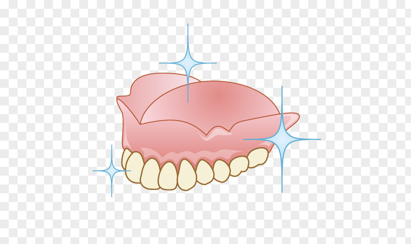 Bridge 審美歯科 Dentist Dentures Therapy PNG