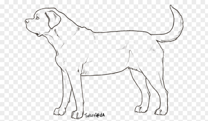 Dog Breed English Mastiff Bullmastiff Line Art Tibetan PNG