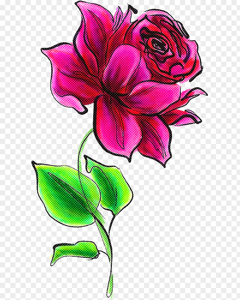 Floral Design PNG