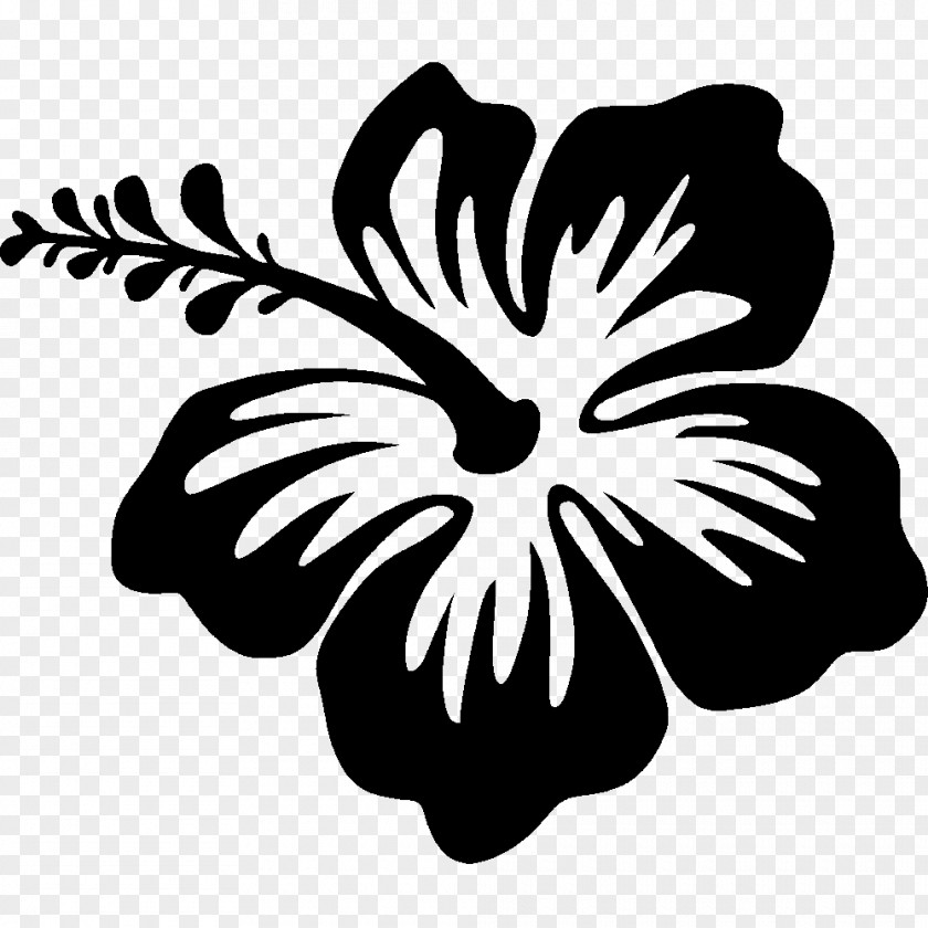 Hawaii Flower Silhouette Drawing Hibiscus PNG