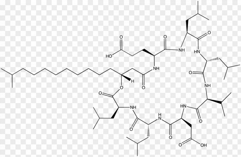 Hydrophobe Surfactin Hay Bacillus Biosurfactants Lipopeptide Antibiotics PNG