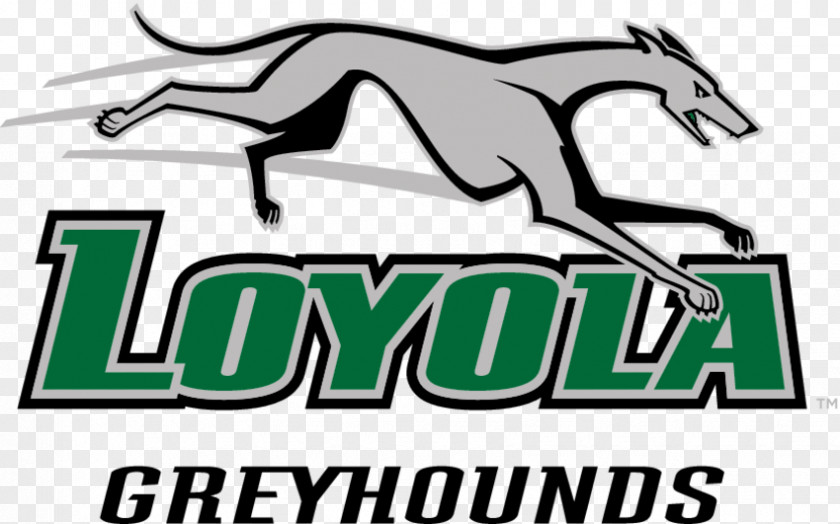 Loyola University Maryland Greyhounds Men's Basketball Of Maryland, College Park Lacrosse PNG