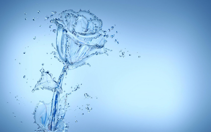 Water Glass Flower Desktop Wallpaper Display Resolution PNG