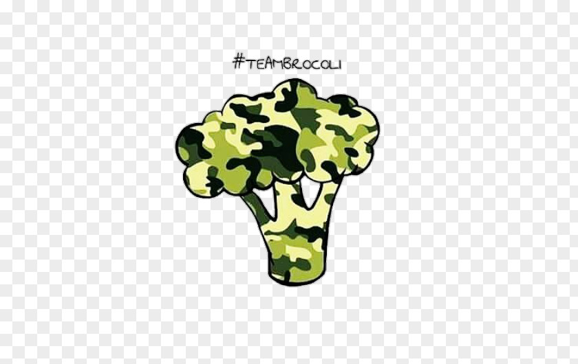 Broccoli Drawing TeamBrocoli Desktop Wallpaper Mexico PNG