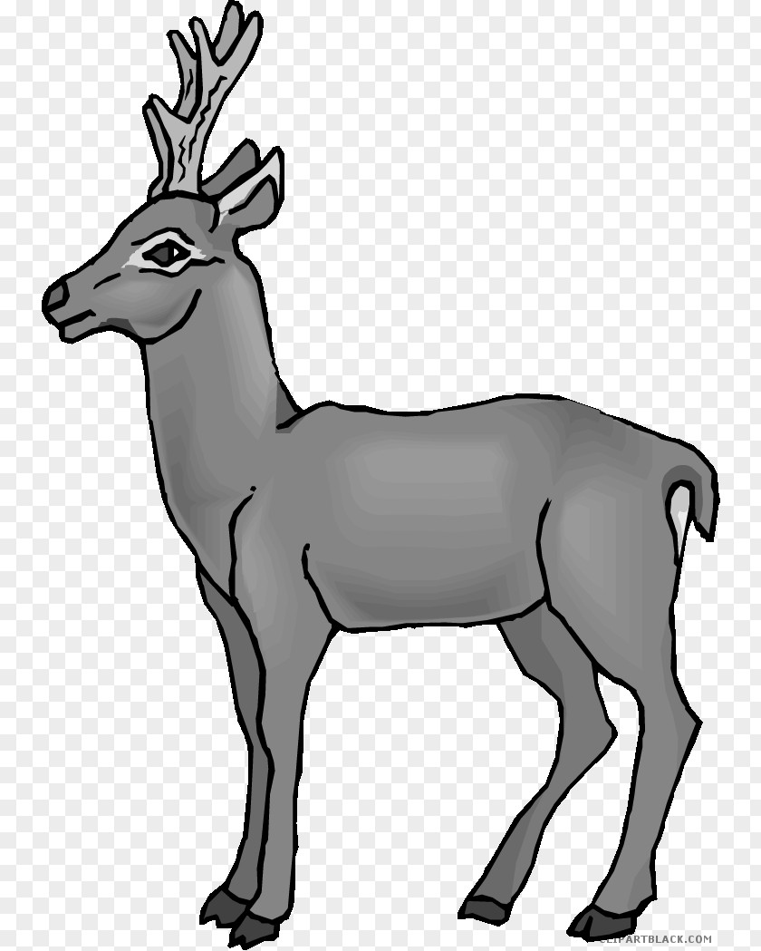 Deer Reindeer Clip Art Image Antler PNG