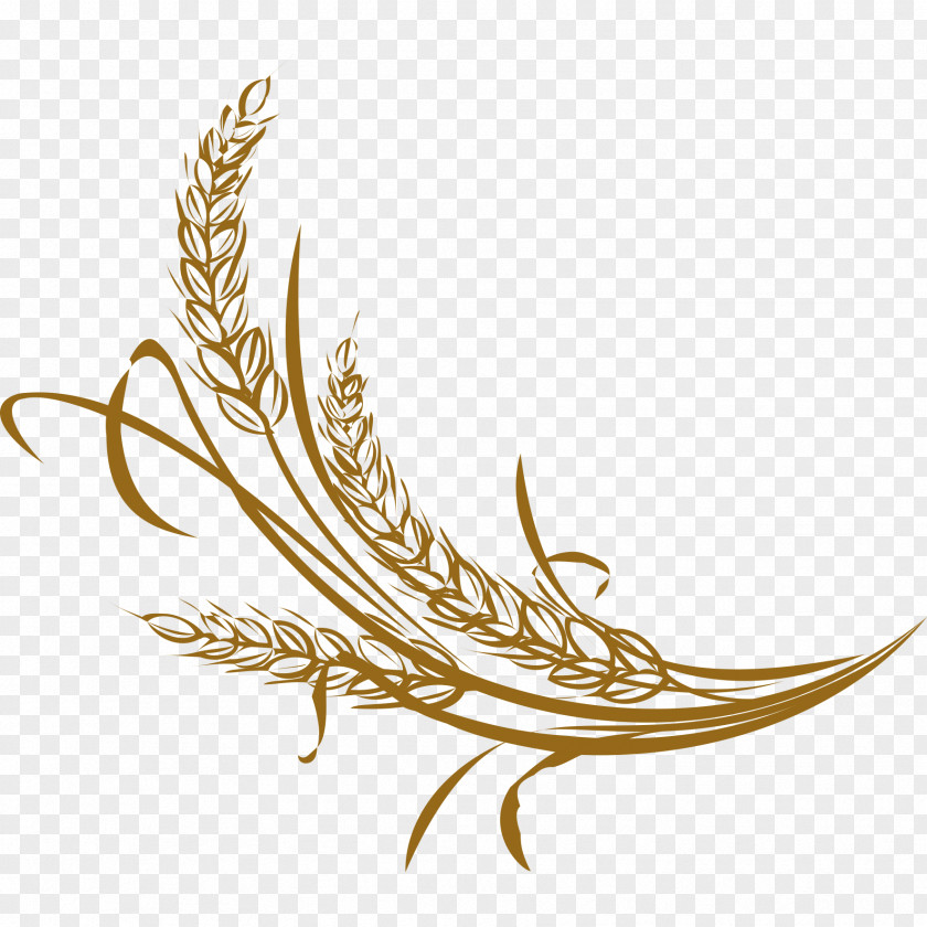 Handmade Wheat Rice Adobe Illustrator PNG