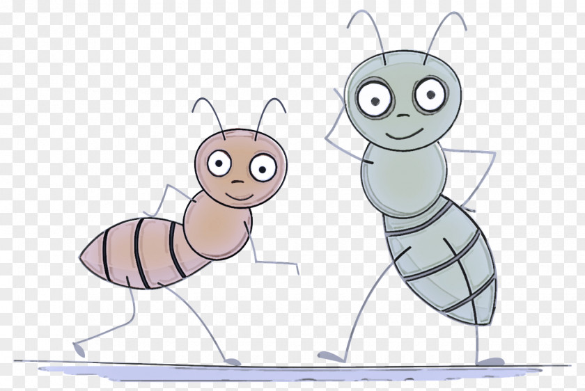 Membranewinged Insect Drawing Cartoon Animation Animated Clip Art PNG