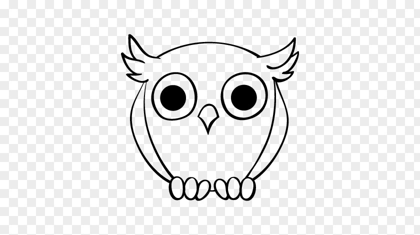 Owl Drawing Nite Painting PNG