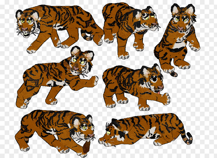 Tiger Cat Terrestrial Animal Clip Art PNG